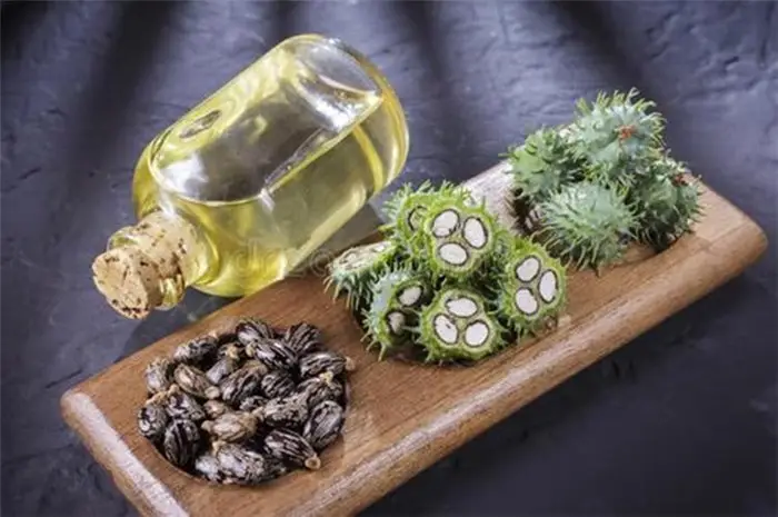 生物基耐高温尼龙PA10T,双碳目标下你该...(图6) 生物基耐高温尼龙PA10T,双碳目标下你该...(图6)