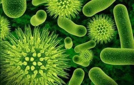 生物塑料?生物基塑料?生物降解塑料?别懵...(图5) 生物塑料?生物基塑料?生物降解塑料?别懵...(图5)