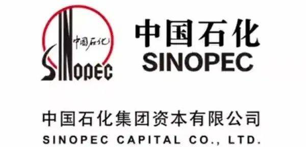 中国石化资本投资海正生物材料 布局高端聚乳...(图4) 中国石化资本投资海正生物材料 布局高端聚乳...(图4)
