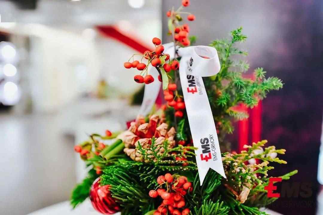 点击进入看图评论 现场有多红,气氛有多浓!艾曼斯新能源汽车...(图9)