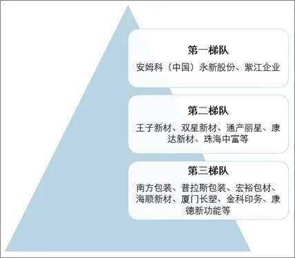 中国塑料包装行业竞争格局分析!开发与推广...(图9) 中国塑料包装行业竞争格局分析!开发与推广...(图9)