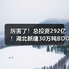 厉害了!总投资292亿!湖北新建30万吨BDO...(图1) 厉害了!总投资292亿!湖北新建30万吨BDO...(图1)