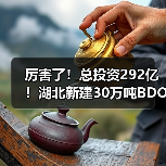 厉害了!总投资292亿!湖北新建30万吨BDO...(图3) 厉害了!总投资292亿!湖北新建30万吨BDO...(图3)