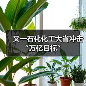 又一石化化工大省冲击“万亿目标”(图2) 又一石化化工大省冲击“万亿目标”(图2)