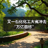 又一石化化工大省冲击“万亿目标”(图4) 又一石化化工大省冲击“万亿目标”(图4)