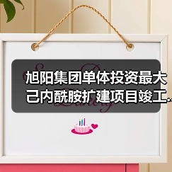 旭阳集团单体投资最大己内酰胺扩建项目竣工...(图4) 旭阳集团单体投资最大己内酰胺扩建项目竣工...(图4)
