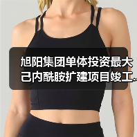 旭阳集团单体投资最大己内酰胺扩建项目竣工...(图3) 旭阳集团单体投资最大己内酰胺扩建项目竣工...(图3)