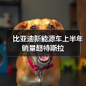 比亚迪新能源车上半年销量超特斯拉(图4) 比亚迪新能源车上半年销量超特斯拉(图4)