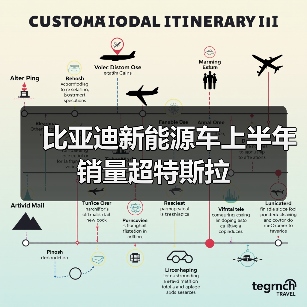 比亚迪新能源车上半年销量超特斯拉(图2) 比亚迪新能源车上半年销量超特斯拉(图2)