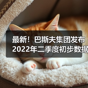 最新!巴斯夫集团发布2022年二季度初步数据(图4) 最新!巴斯夫集团发布2022年二季度初步数据(图4)