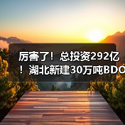 厉害了！总投资292亿！湖北新建30万吨BDO...（图4）