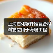 上海石化碳纤维复合材料筋应用于海堤工程(图2) 上海石化碳纤维复合材料筋应用于海堤工程(图2)