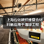 上海石化碳纤维复合材料筋应用于海堤工程(图3) 上海石化碳纤维复合材料筋应用于海堤工程(图3)