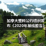 加拿大塑料公约组织发布《2020年基线报告》(图3) 加拿大塑料公约组织发布《2020年基线报告》(图3)