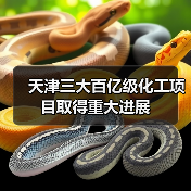 天津三大百亿级化工项目取得重大进展(图2) 天津三大百亿级化工项目取得重大进展(图2)