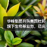 华峰集团并购美国杜邦旗下生物基业务,已完...(图3) 华峰集团并购美国杜邦旗下生物基业务,已完...(图3)