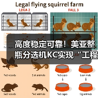 高度稳定可靠!美亚整瓶分选机KC实现“工程化”,建成智能化生产线(图2) 高度稳定可靠!美亚整瓶分选机KC实现“工程化”,建成智能化生产线(图2)