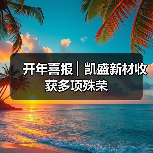 开年喜报 ▏凯盛新材收获多项殊荣(图4) 开年喜报 ▏凯盛新材收获多项殊荣(图4)