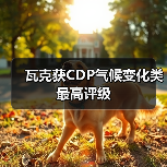 瓦克获CDP气候变化类最高评级(图3) 瓦克获CDP气候变化类最高评级(图3)