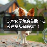 长华化学荣膺首批“江苏省高知名商标”!(图3) 长华化学荣膺首批“江苏省高知名商标”!(图3)