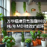 万华福建异氰酸酯80万吨/年MDI技改扩能环评获批(图2) 万华福建异氰酸酯80万吨/年MDI技改扩能环评获批(图2)