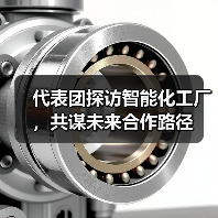 代表团探访智能化工厂,共谋未来合作路径(图2) 代表团探访智能化工厂,共谋未来合作路径(图2)