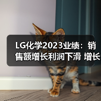 LG化学2023业绩:销售额增长利润下滑 增长挑战如何破局(图4) LG化学2023业绩:销售额增长利润下滑 增长挑战如何破局(图4)