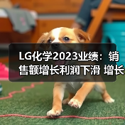 LG化学2023业绩:销售额增长利润下滑 增长挑战如何破局(图1) LG化学2023业绩:销售额增长利润下滑 增长挑战如何破局(图1)