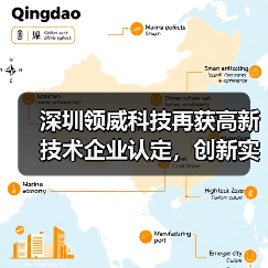 深圳领威科技再获高新技术企业认定,创新实力如何彰显?(图1) 深圳领威科技再获高新技术企业认定,创新实力如何彰显?(图1)