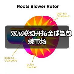 双展联动开拓全球塑包装市场（图3）