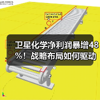 卫星化学净利润暴增48%！战略布局如何驱动业绩爆发？（图1）