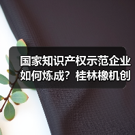 国家知识产权示范企业如何炼成？桂林橡机创新实力获认可（图4）