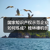 国家知识产权示范企业如何炼成？桂林橡机创新实力获认可（图3）