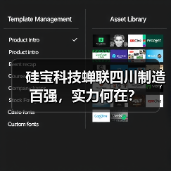 硅宝科技蝉联四川制造百强，实力何在？（图4）