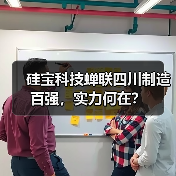 硅宝科技蝉联四川制造百强，实力何在？（图3）