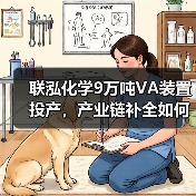 联泓化学9万吨VA装置投产,产业链补全如何助力降本增效?(图1) 联泓化学9万吨VA装置投产,产业链补全如何助力降本增效?(图1)