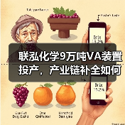 联泓化学9万吨VA装置投产,产业链补全如何助力降本增效?(图3) 联泓化学9万吨VA装置投产,产业链补全如何助力降本增效?(图3)