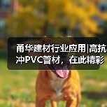甬华建材行业应用|高抗冲PVC管材,在此精彩“成型”(图4) 甬华建材行业应用|高抗冲PVC管材,在此精彩“成型”(图4)