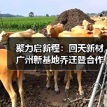聚力启新程：回天新材广州新基地乔迁暨合作伙伴峰会共谋发展（图2）