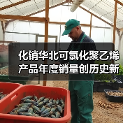 化销华北可氯化聚乙烯产品年度销量创历史新高(图2) 化销华北可氯化聚乙烯产品年度销量创历史新高(图2)