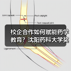 校企合作如何赋能药学教育?沈阳药科大学奖学金颁奖仪式亮点解析(图2) 校企合作如何赋能药学教育?沈阳药科大学奖学金颁奖仪式亮点解析(图2)