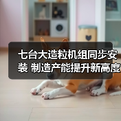 七台大造粒机组同步安装 制造产能提升新高度（图3）