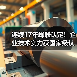连续17年蝉联认定！企业技术实力获国家级认证（图2）