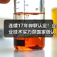 连续17年蝉联认定！企业技术实力获国家级认证（图4）