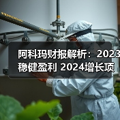 阿科玛财报解析:2023稳健盈利 2024增长项目驱动未来(图2) 阿科玛财报解析:2023稳健盈利 2024增长项目驱动未来(图2)