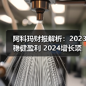 阿科玛财报解析:2023稳健盈利 2024增长项目驱动未来(图4) 阿科玛财报解析:2023稳健盈利 2024增长项目驱动未来(图4)