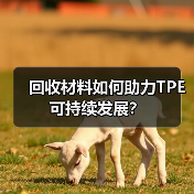 回收材料如何助力TPE可持续发展?(图4) 回收材料如何助力TPE可持续发展?(图4)
